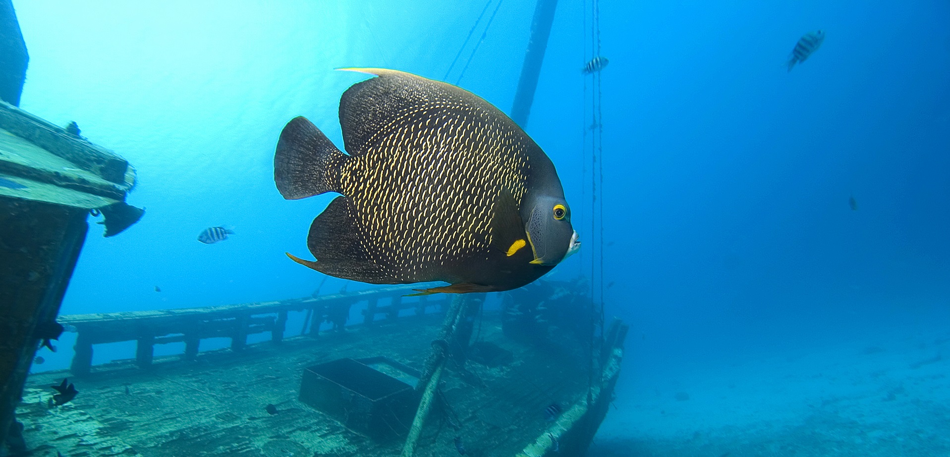 Wracktauchen bei Dive Tour buchen