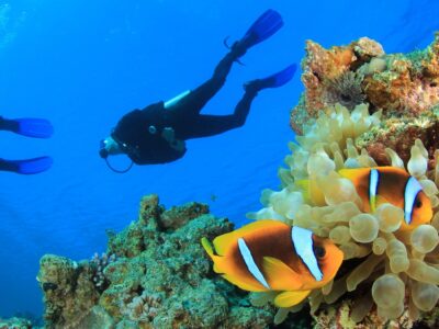 El Quseir bei Dive Tour buchen