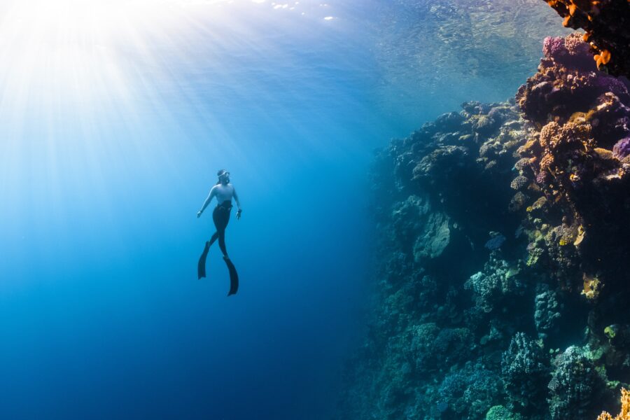 Freediving bei Dive Tour buchen