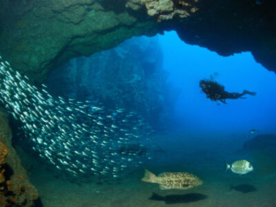 Manta Diving Madeira Höhle