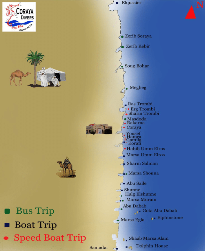 Coraya Divers Marsa Alam Dive Spots