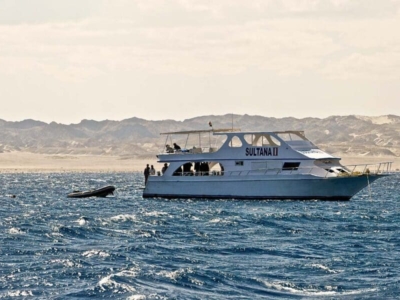 TGI Diving Marsa Alam Dive Boat