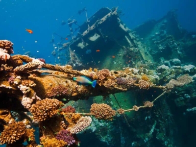 TGI Diving Marsa Alam Wrack