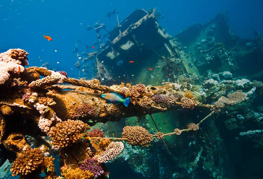 TGI Diving Marsa Alam Wrack