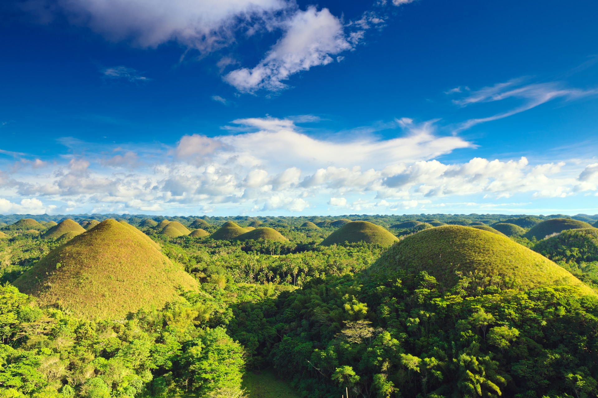 Chocolate Hills Bohol