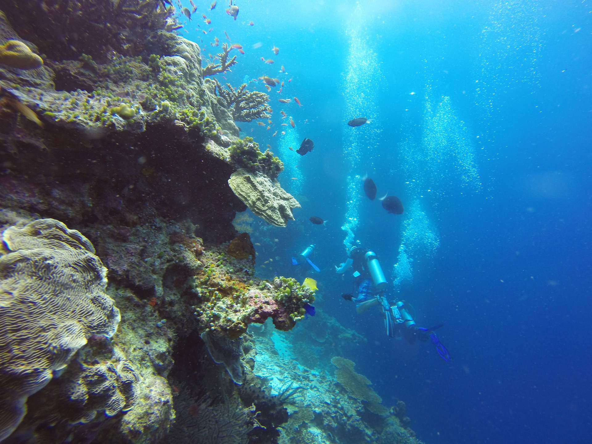 Kalimantan Unterwasser