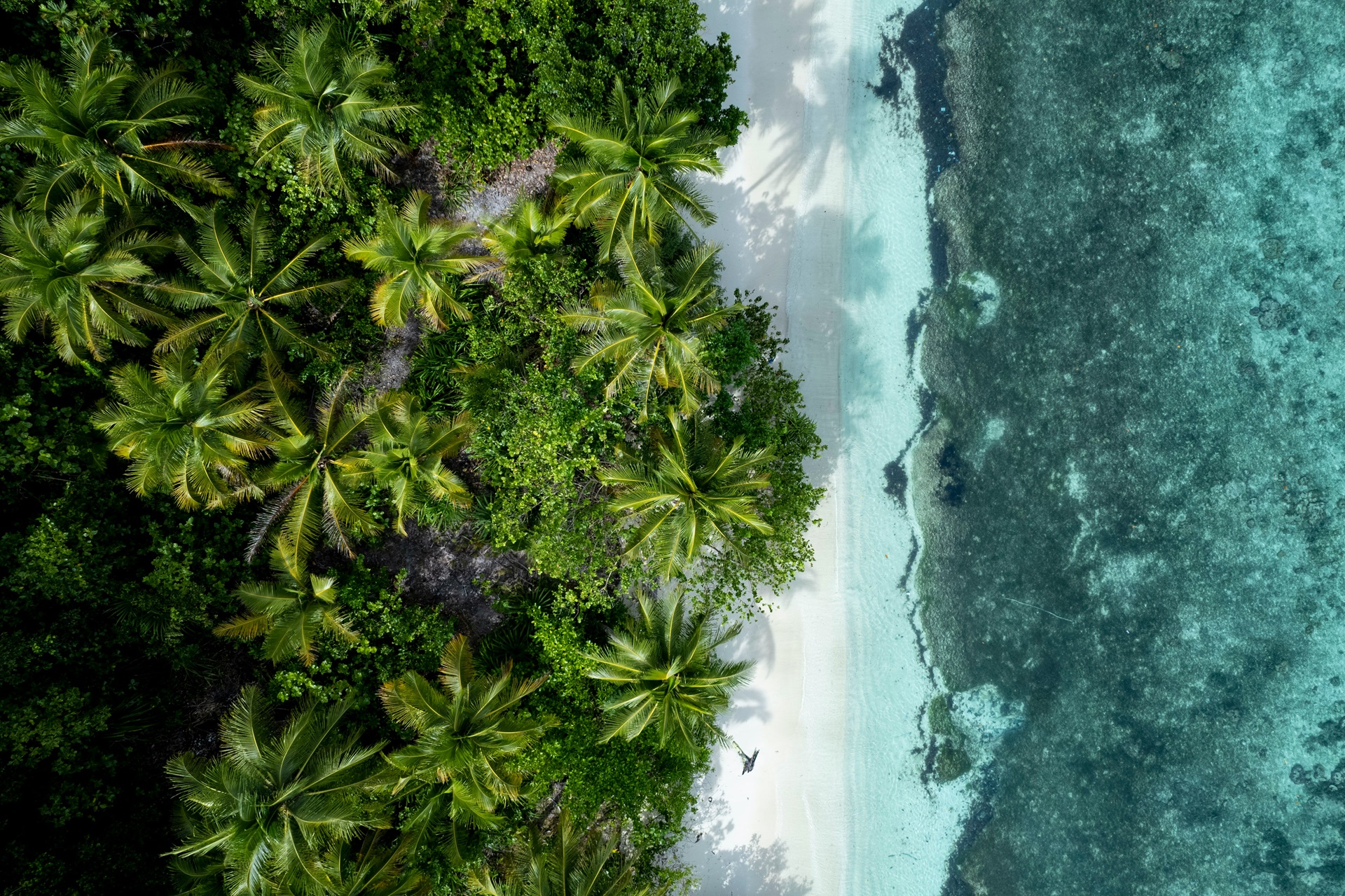 Kri Raja Ampat