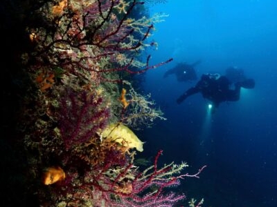 Portofino Divers Taucher