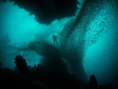 Raja Ampat Unterwasser