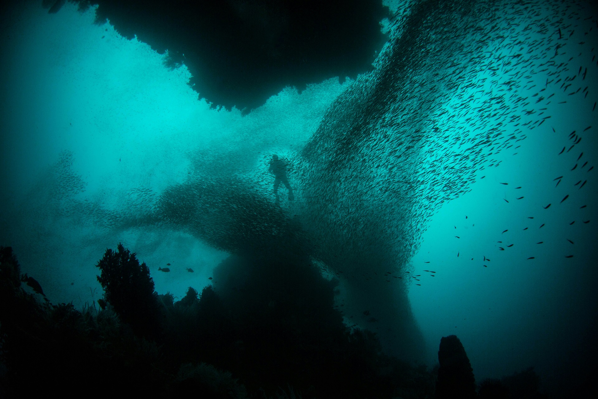 Raja Ampat Unterwasser