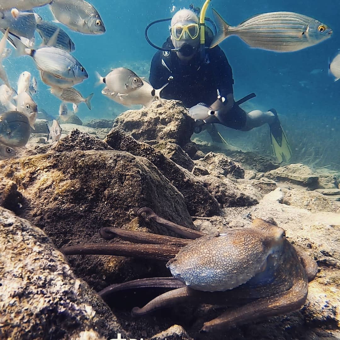 Sarigerme Diving Unterwasser