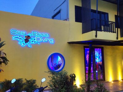 Sea Bees Phuket bei Dive Tour buchen