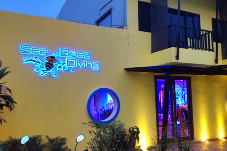 Sea Bees Phuket bei Dive Tour buchen