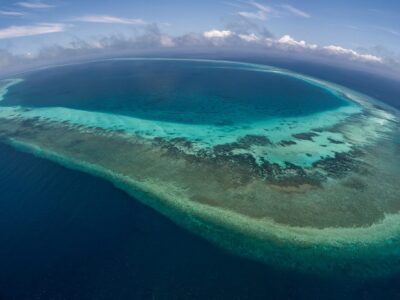 Tubbataha Riff bei Dive Tour buchen