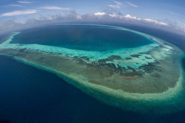 Tubbataha Riff bei Dive Tour buchen