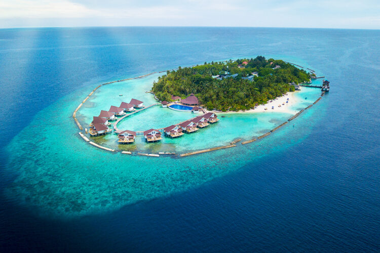 Ellaidhoo Maldives bei Dive Tour buchen