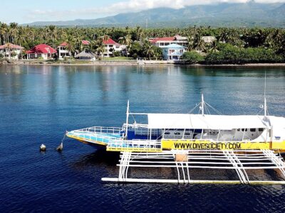 Dive Society Dauin bei Dive Tour buchen