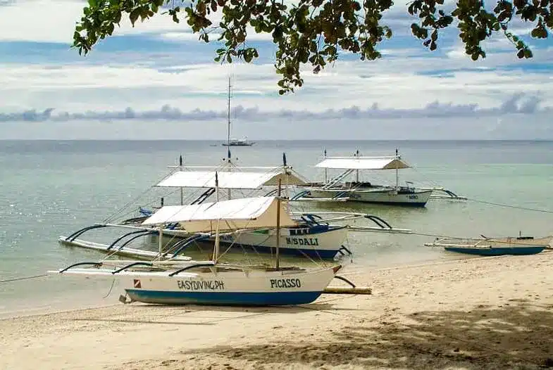 Easy Diving Sipalay Boote