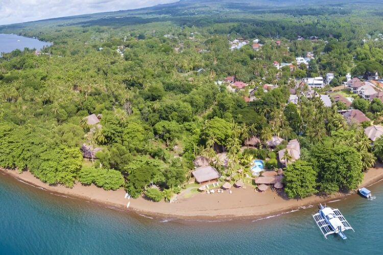 Pura Vida Beach and Dive Resort bei Dive Tour buchen