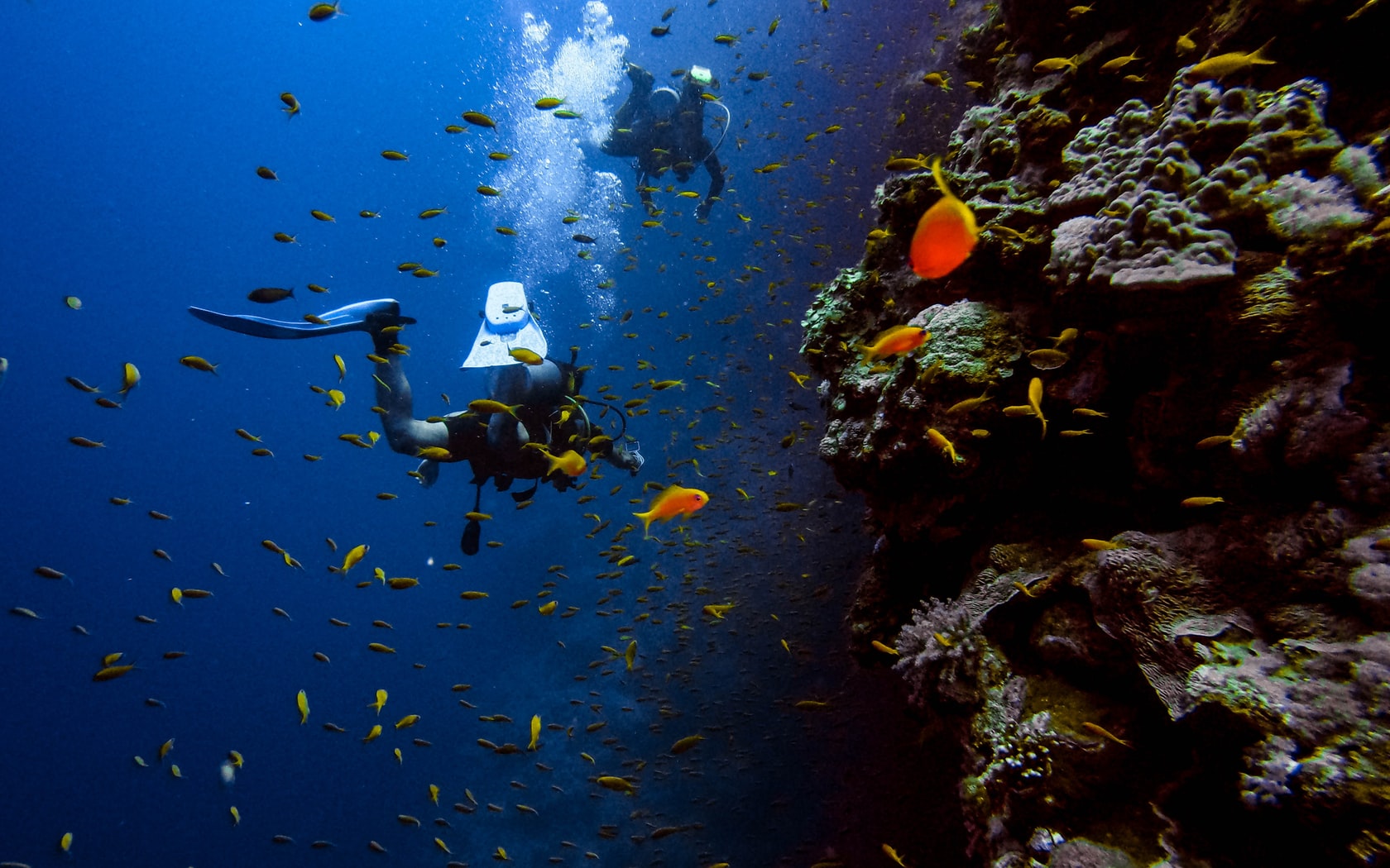 Deluna Diving Center Unterwasser