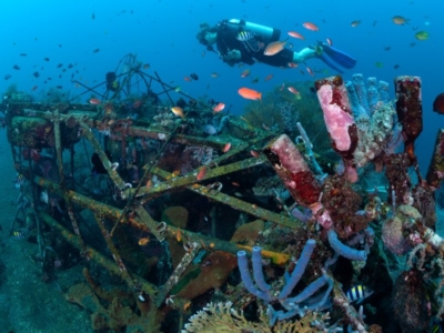 Siddhartha Dive Center Wrack