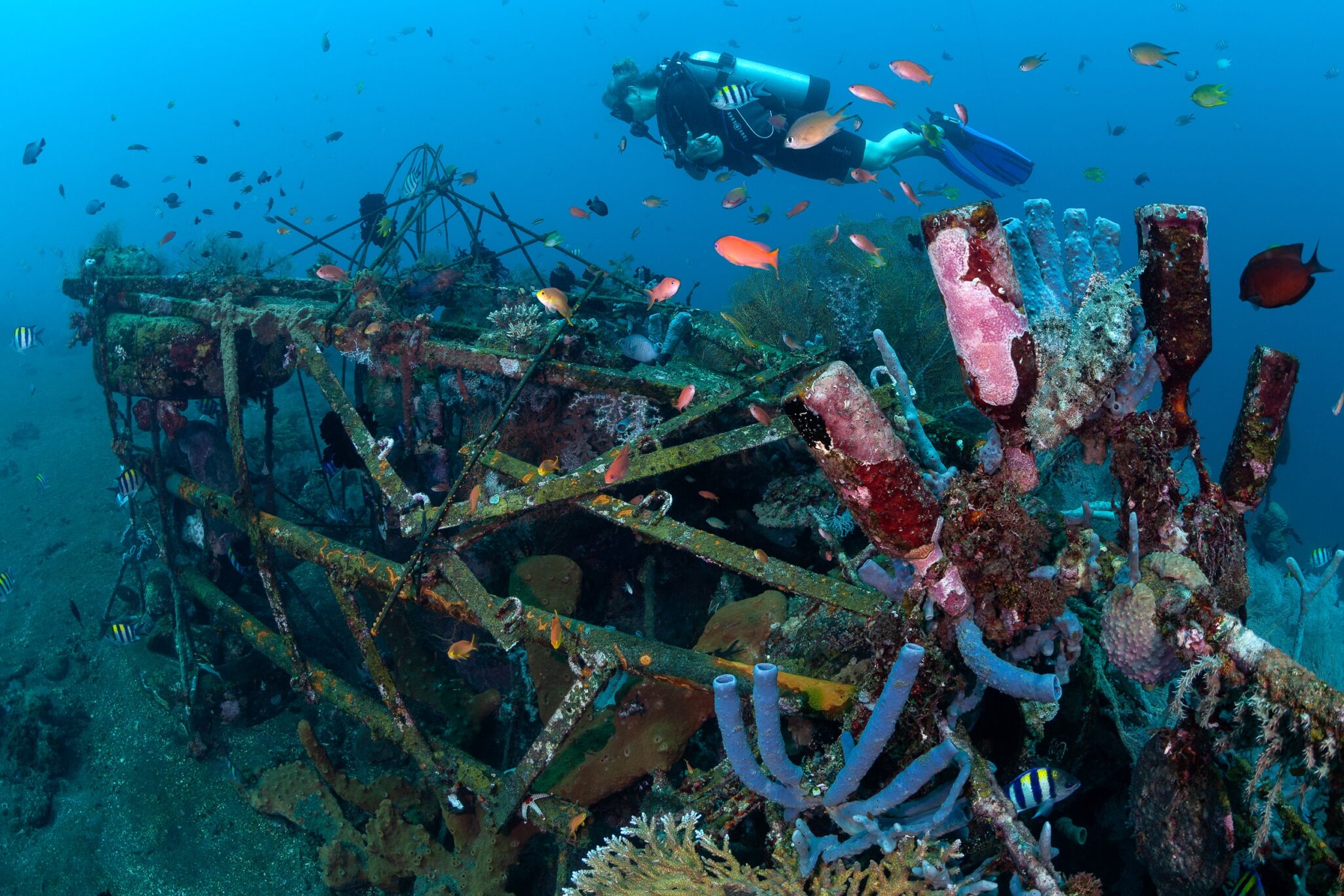 Siddhartha Dive Center Wrack