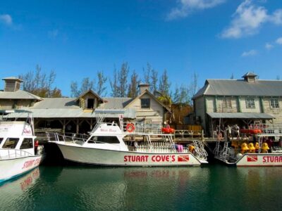 Stuart Cove's Dive Bahamas bei Dive Tour buchen