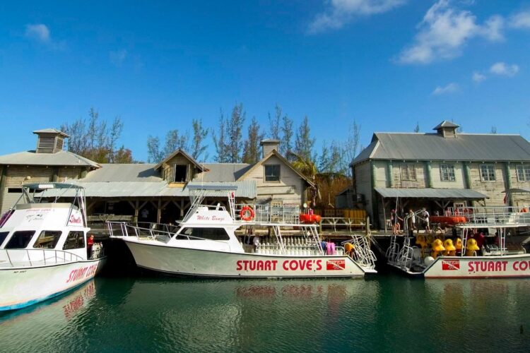 Stuart Cove's Dive Bahamas bei Dive Tour buchen