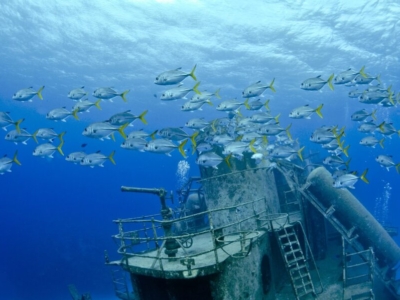 USS Kittiwake Wrack