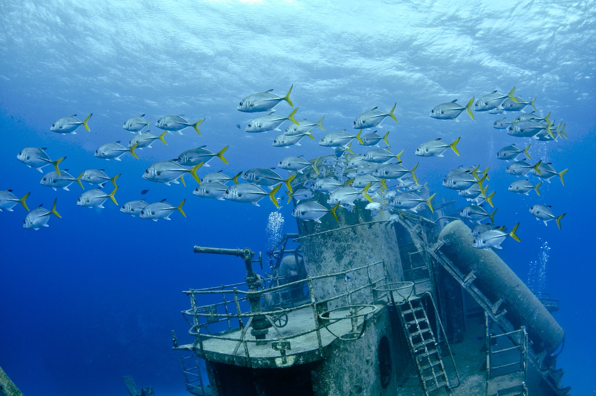 USS Kittiwake Wrack