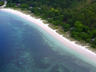 Alor Divers Eco Resort bei Dive Tour buchen