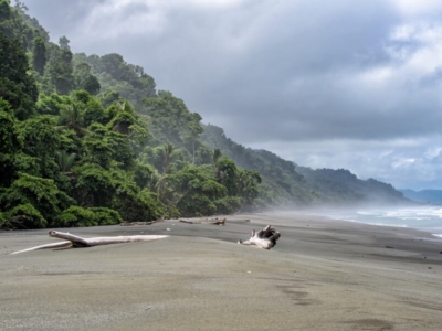 Corcovado Nationalpark