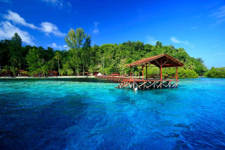 Cove Eco Resort bei Dive Tour buchen