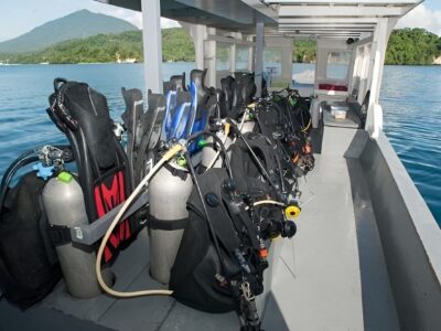 Critters at Lembeh Dive Center bei Dive Tour buchen