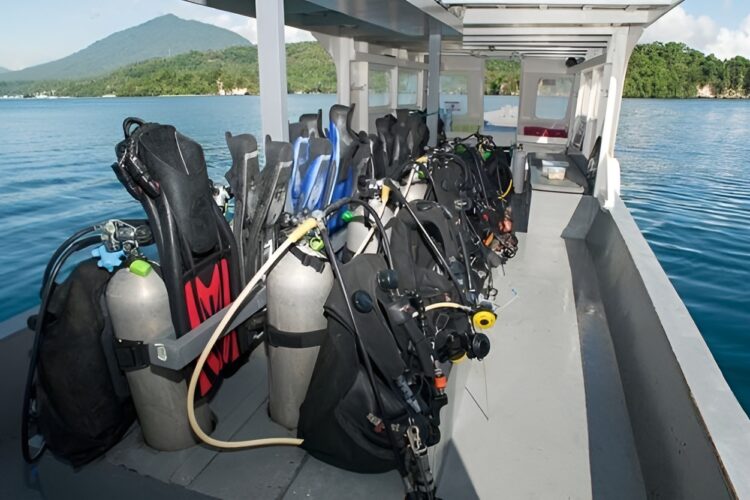 Critters at Lembeh Dive Center bei Dive Tour buchen