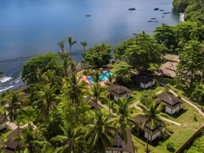 Dive into Lembeh Resort bei Dive Tour buchen