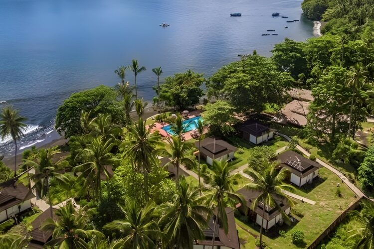 Dive into Lembeh Resort bei Dive Tour buchen