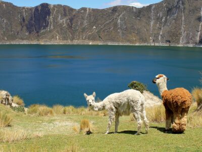 Ecuador bei Dive Tour buchen