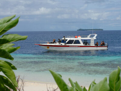 Gangga Divers Papua Paradise bei Dive Tour buchern