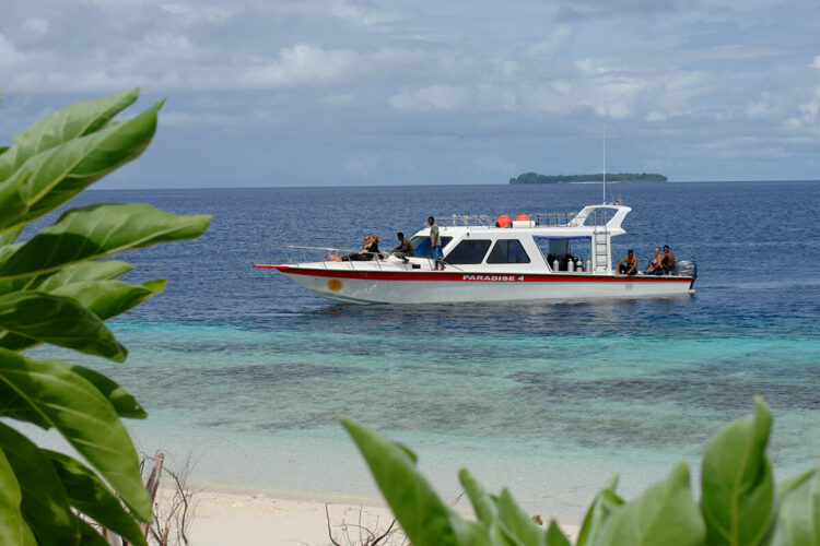 Gangga Divers Papua Paradise bei Dive Tour buchern