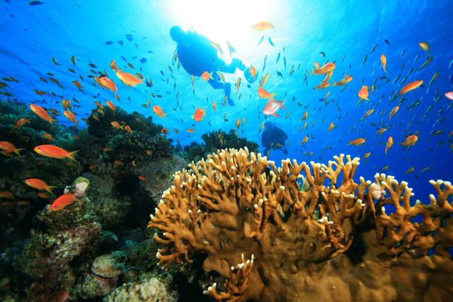 Unterkünfte und Tauchbasen mit Hausriff bei Dive Tour buchen