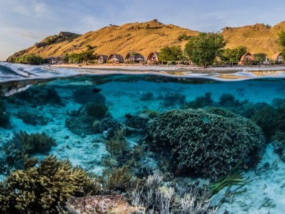 Komodo Dive Center Hausriff