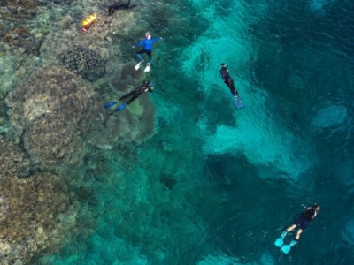 Komodo Dive Center Schnorcheln