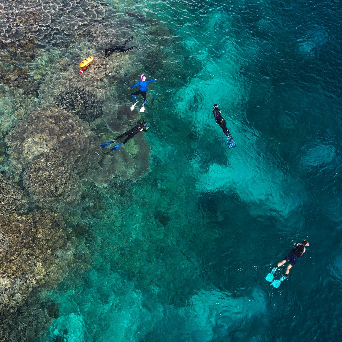 Komodo Dive Center Schnorcheln