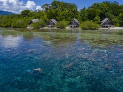 Kusu Island Dive Center Korallenwelt