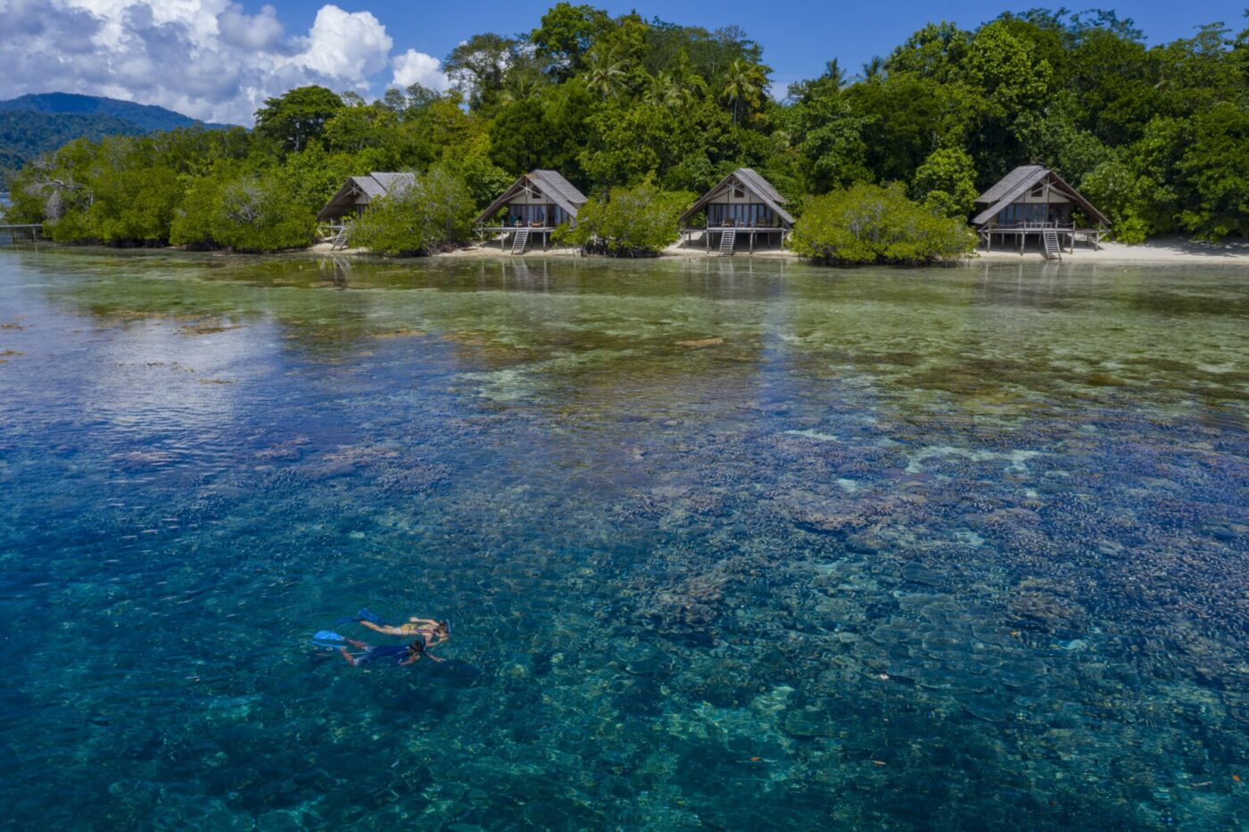 Kusu Island Dive Center Korallenwelt