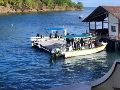 Misool Dive Center bei Dive Tour buchen