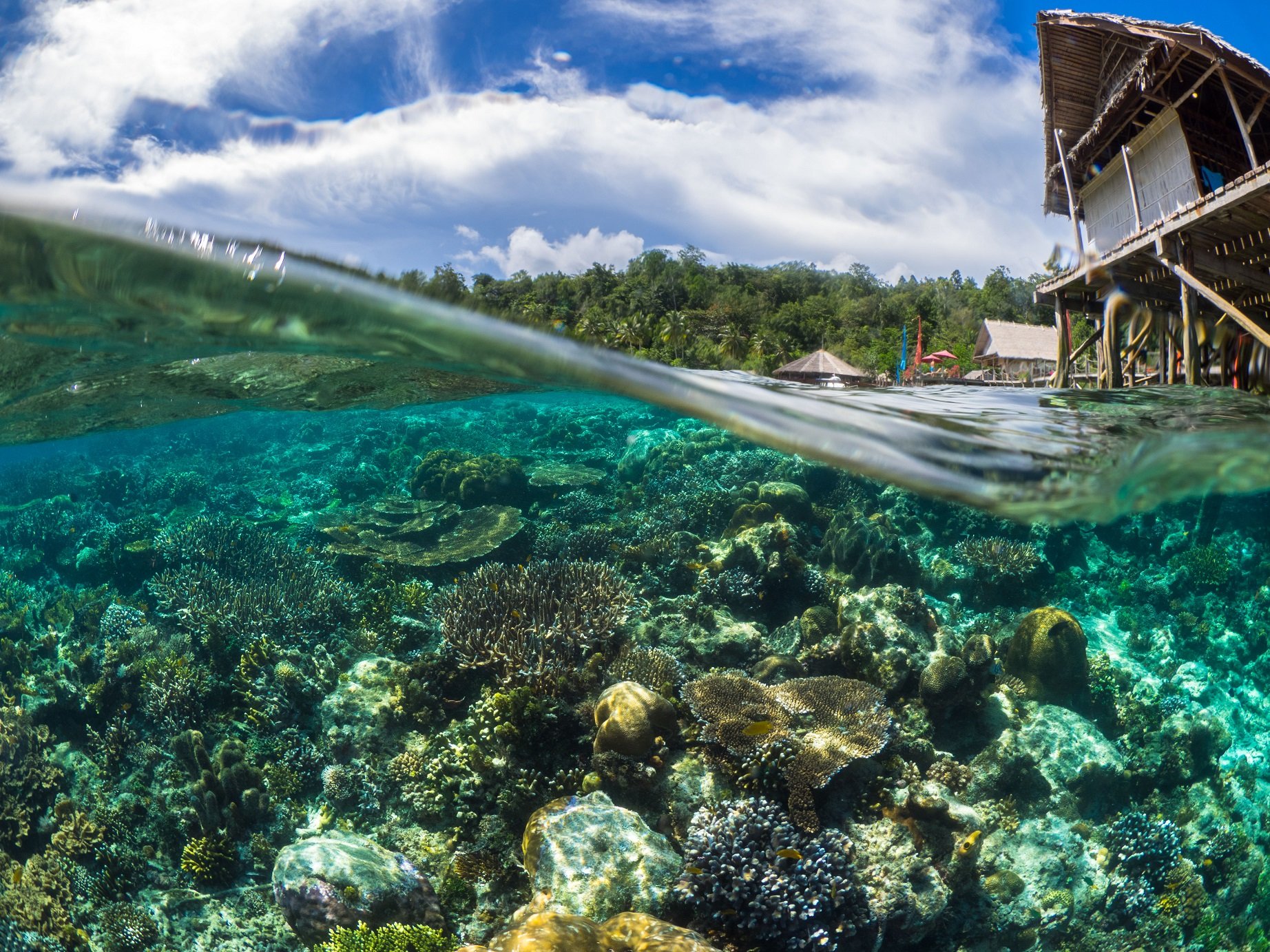 Papua Explorers Dive Resort Hausriff