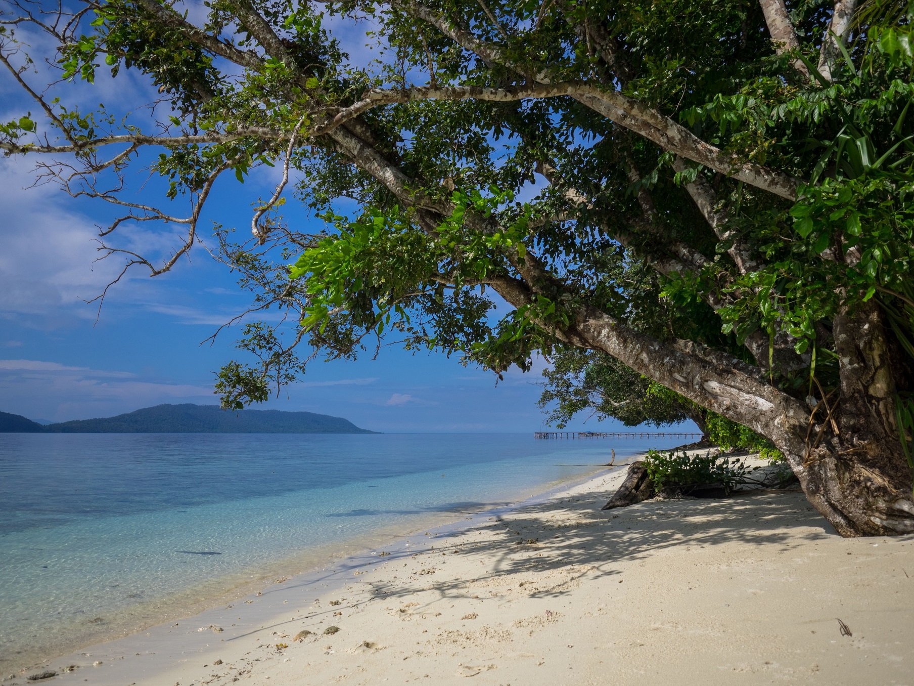 Papua Explorers Dive Resort Strand