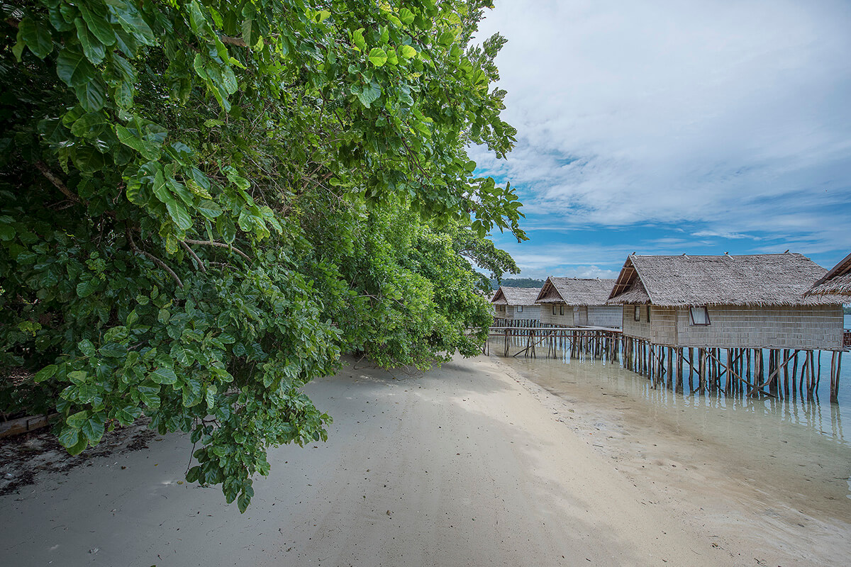 Papua Paradise Eco Resort Strand